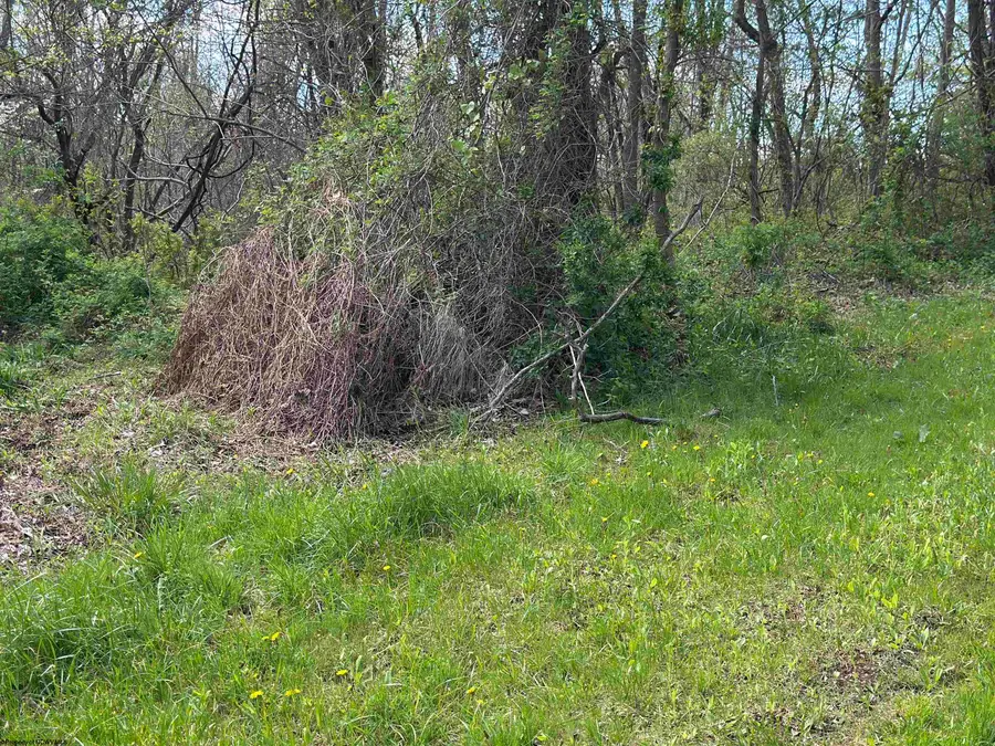 TBD Rush Road, Carmichaels, PA 15320 - #2