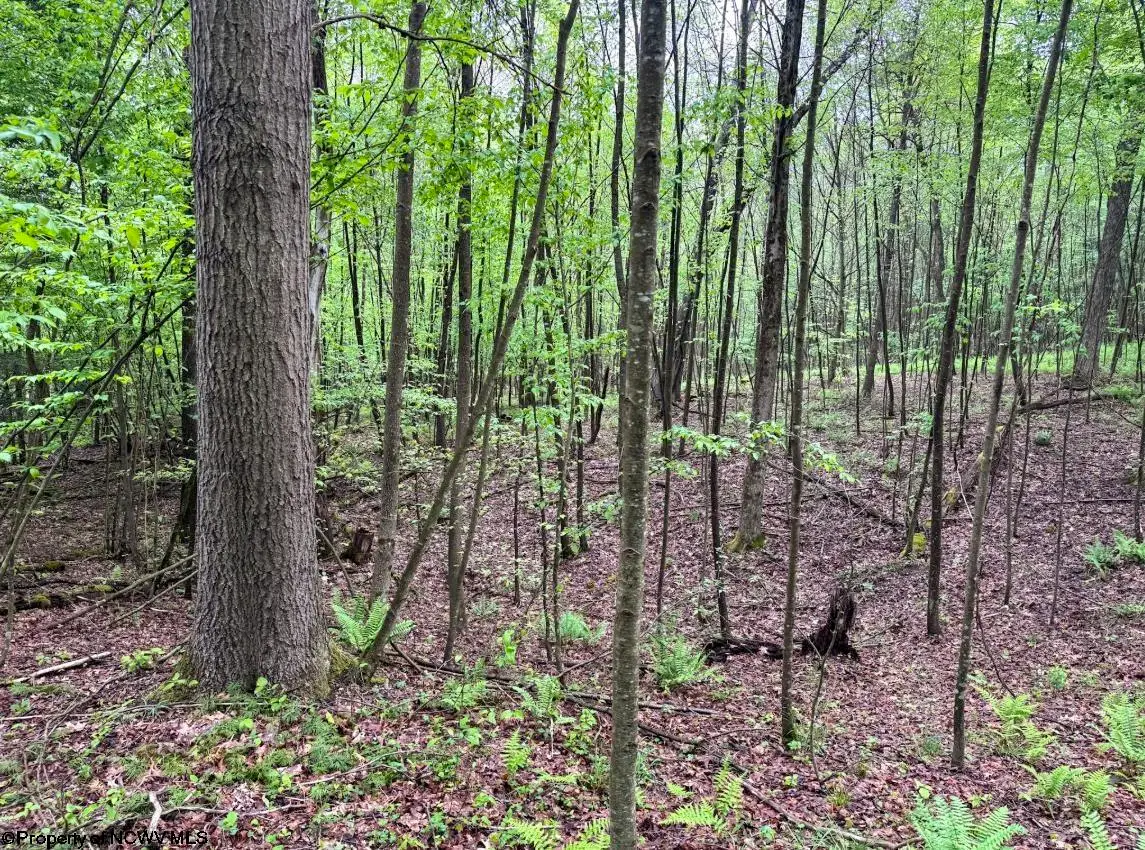 Lot 103 Laurel Loop, Bruceton Mills, WV 26525 - #1