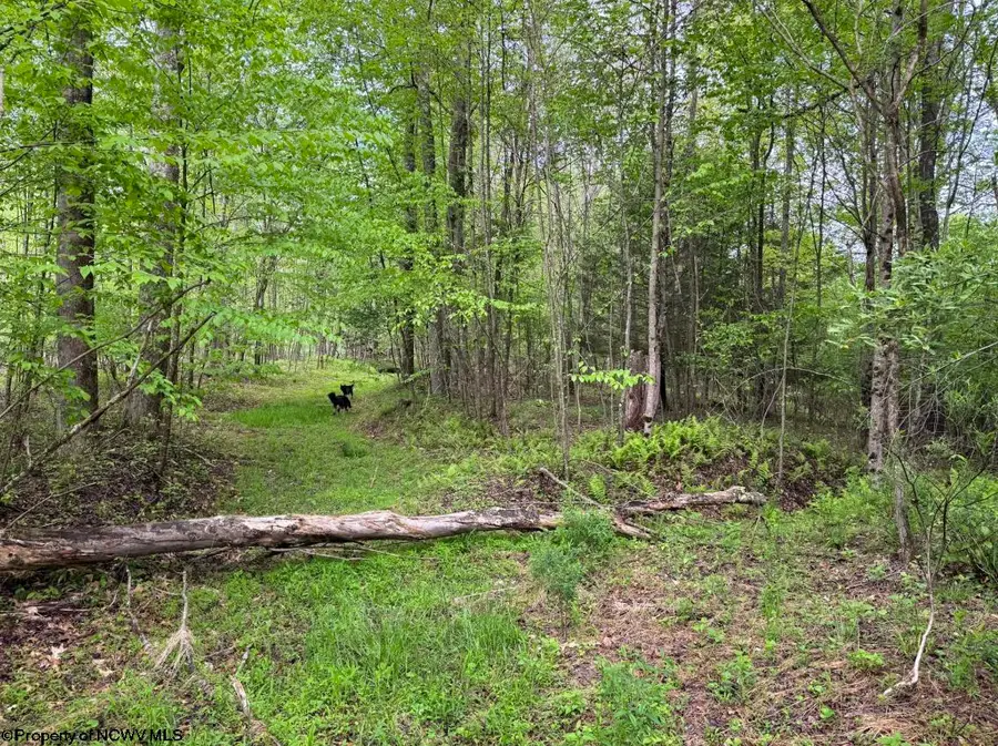 Lot 103 Laurel Loop, Bruceton Mills, WV 26525 - #3
