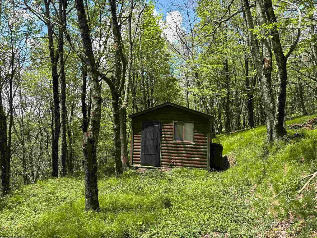1019 Thunderstruck Road, Harman, WV 26270 - #1