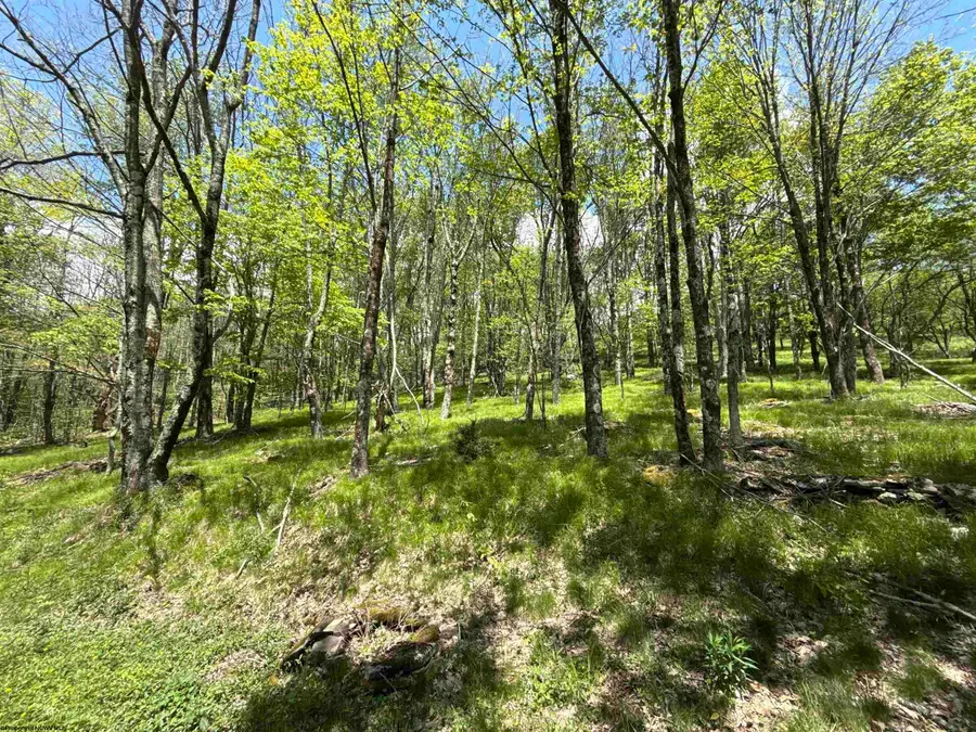 1019 Thunderstruck Road, Harman, WV 26270 - #3