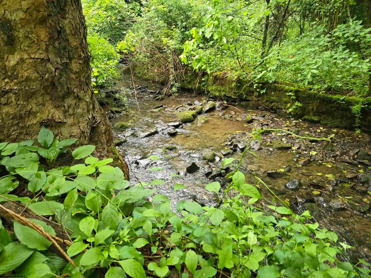 136 Birch Hollow Road, Morgantown, WV 26508 - #1