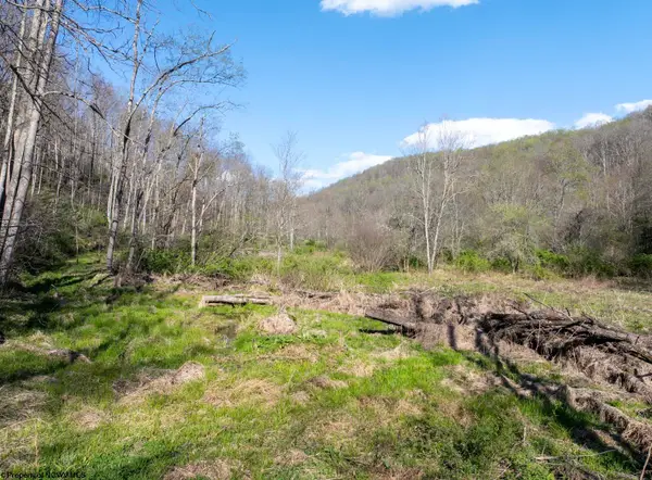 Lot 1 Squires Run Road, Reedsville, WV 26547