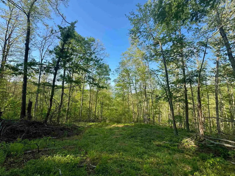 Tract A John Orr Road, Independence, WV 26374 - #2