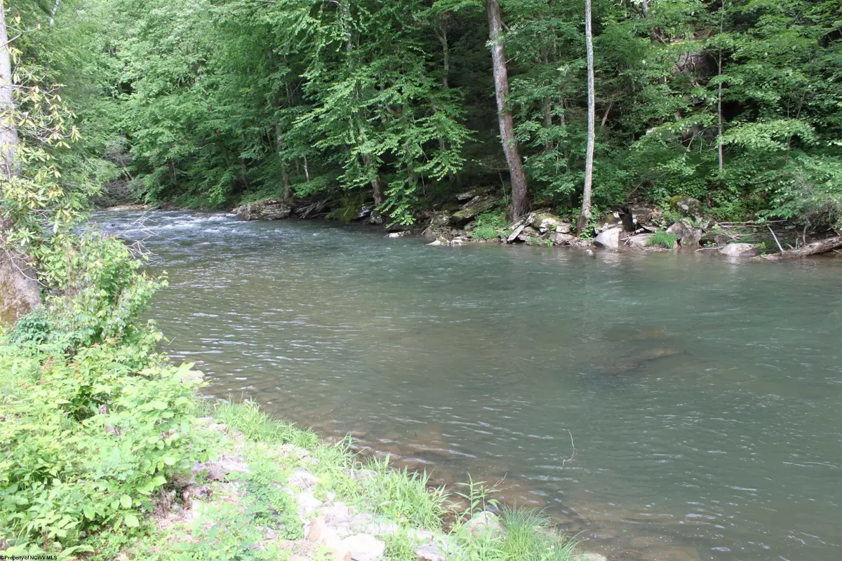 390 Big Sycamore Road, Webster Springs, WV 26288 - #1
