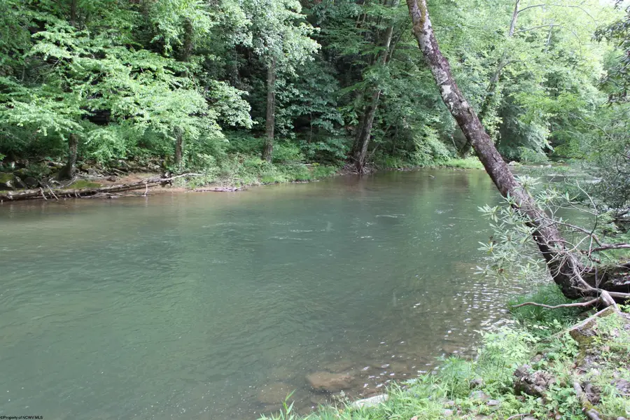 390 Big Sycamore Road, Webster Springs, WV 26288 - #2