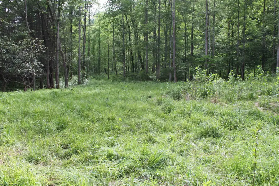 390 Big Sycamore Road, Webster Springs, WV 26288 - #3