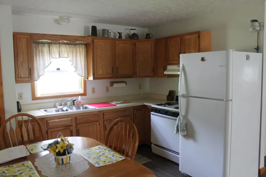674 Laurel Fork Road, Webster Springs, WV 26288 - #2