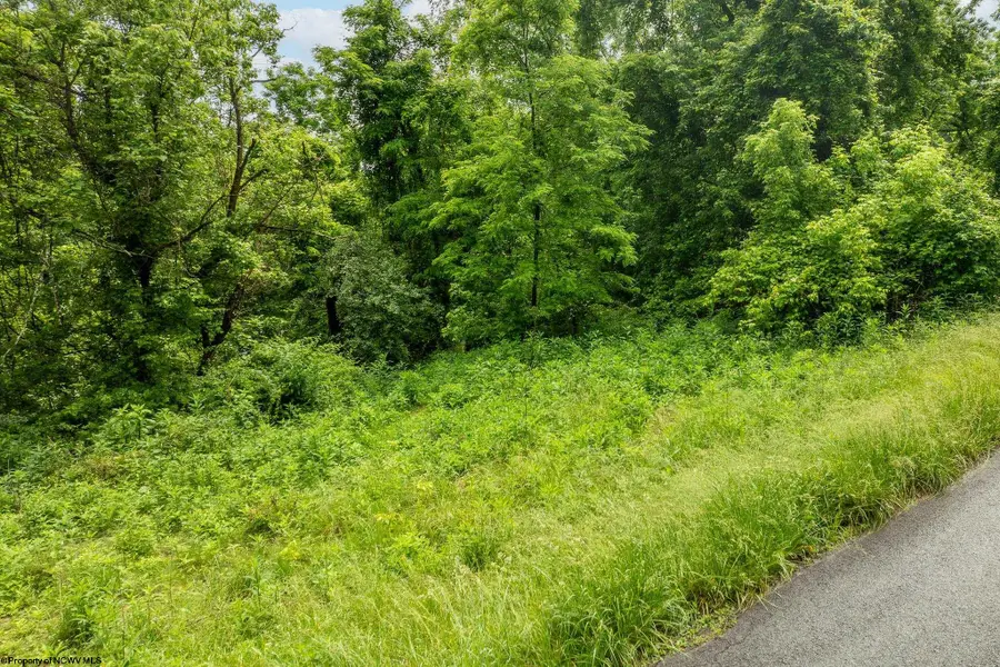 499 Harner Street, Morgantown, WV 26501 - #2