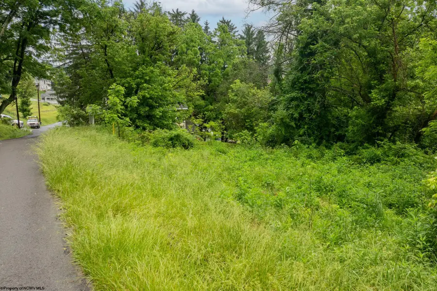 499 Harner Street, Morgantown, WV 26501 - #3