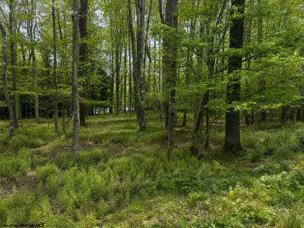 Lots 175 & 176 Laurel Circle, Terra Alta, WV 26764