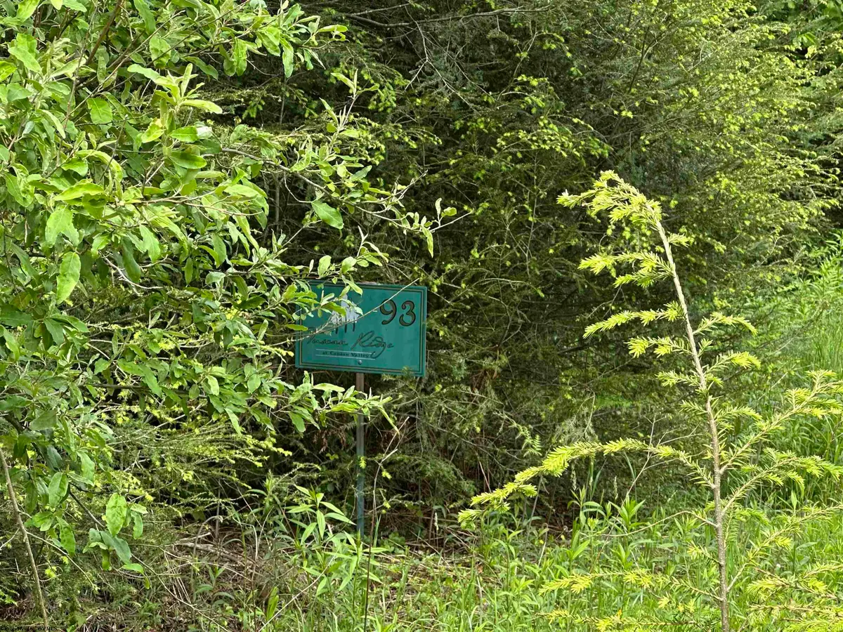 Lots 92 and 93 Gondola Court, Davis, WV 26260 - #1