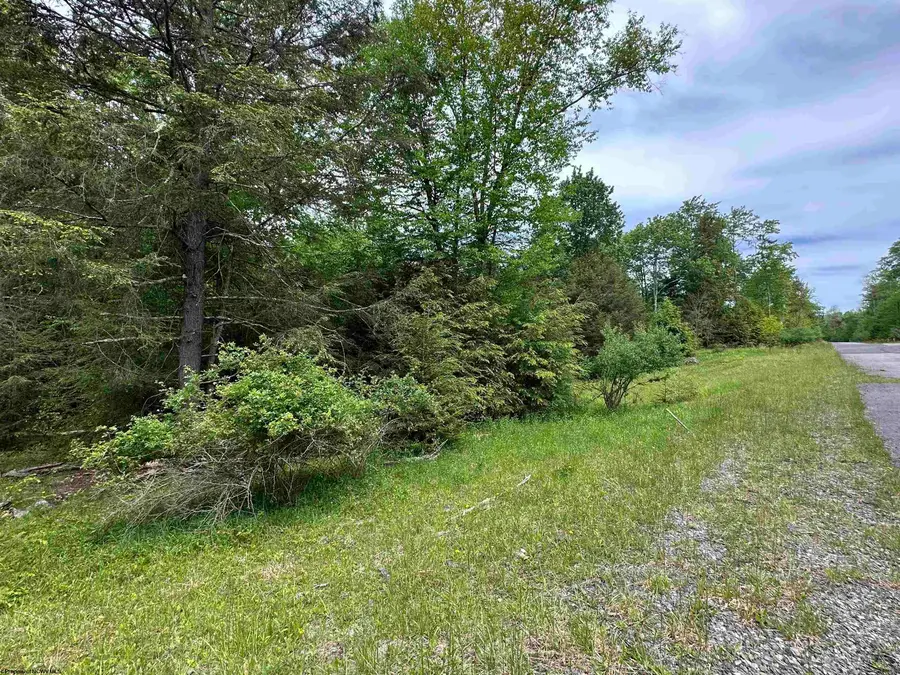 Lots 92 and 93 Gondola Court, Davis, WV 26260 - #3