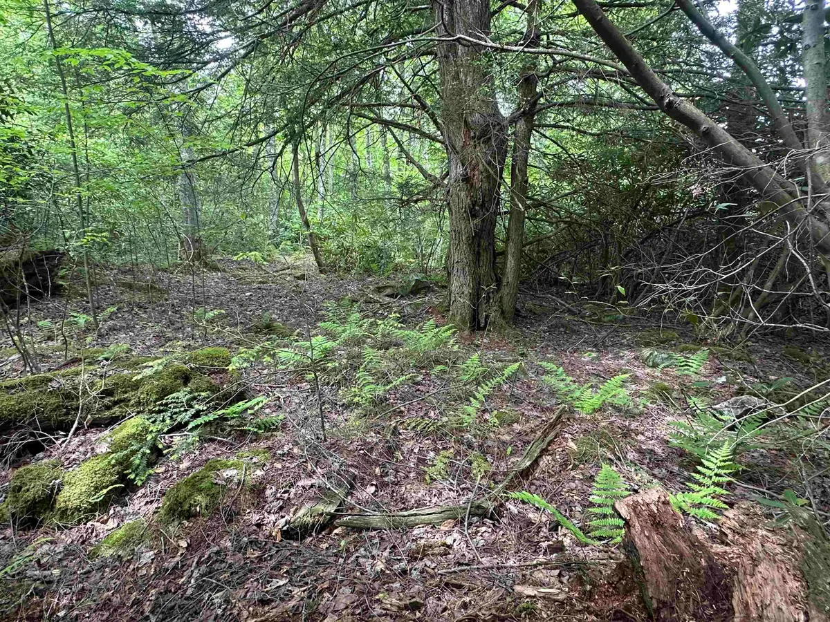 Lot 7 Tuscan Ridge Road, Davis, WV 26260 - #1