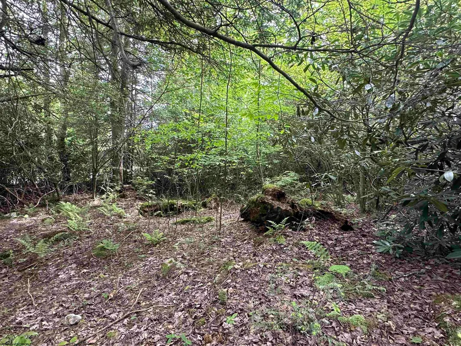 Lot 7 Tuscan Ridge Road, Davis, WV 26260 - #2