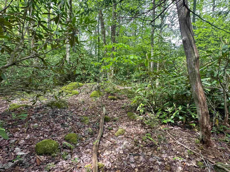 Lot 7 Tuscan Ridge Road, Davis, WV 26260 - #3