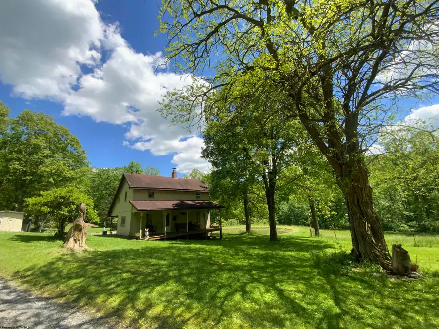 462 Childs Road, Terra Alta, WV 26764 - #3
