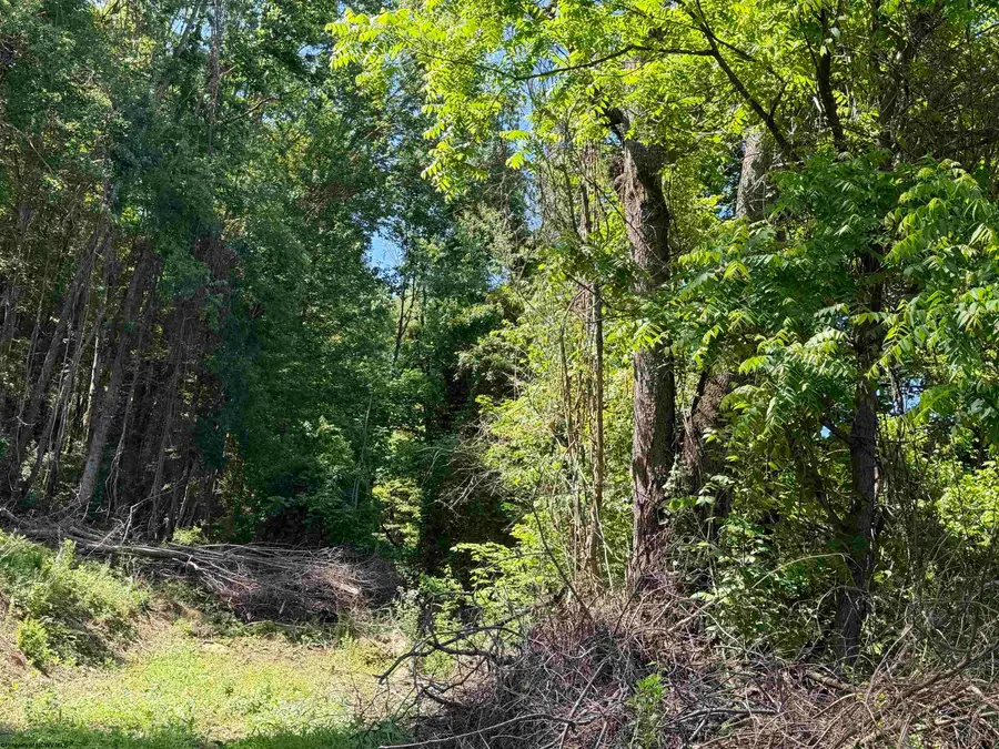TBD Sandy Drive, Grafton, WV 26354 - #2