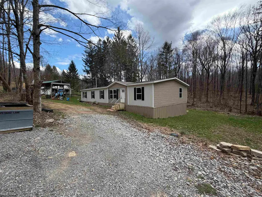 18 Mustang Lane, Valley Head, WV 26294 - #2