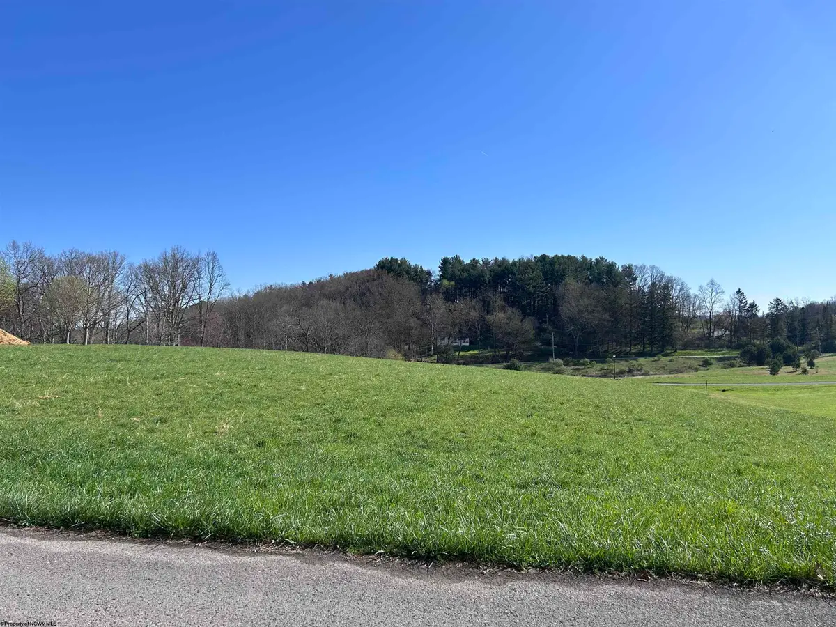Lot 36 Hayfield Loop, Elkins, WV 26241 - #1
