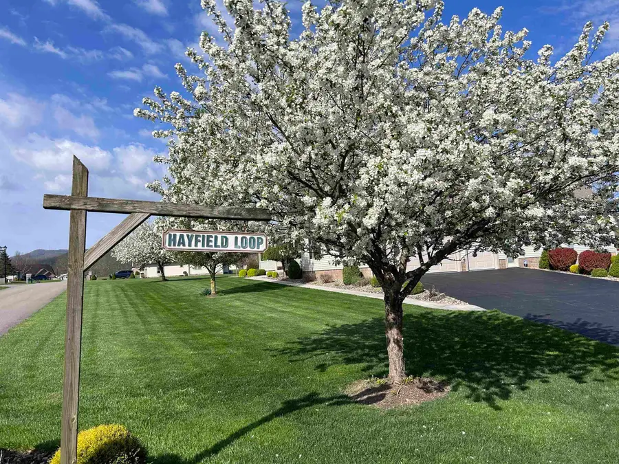 Lot 36 Hayfield Loop, Elkins, WV 26241 - #3