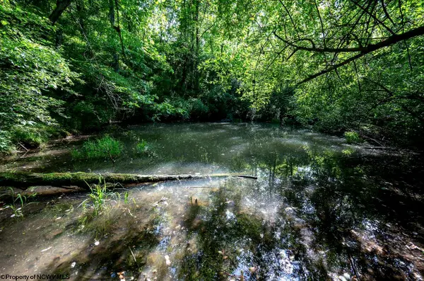 Lot 1 Hecks Run, Rivesville, WV 26588