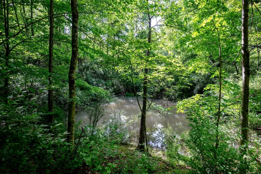 Lot 1 Hecks Run, Rivesville, WV 26588 - #2