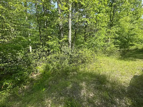 Lot 65 Pine Drive, Terra Alta, WV 26764