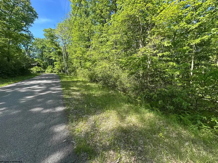 Lot 65 Pine Drive, Terra Alta, WV 26764 - #2