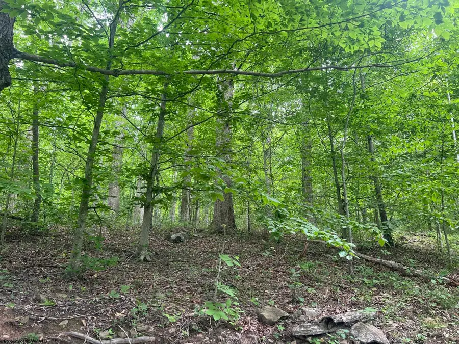 TBD Keiths Fork Road, Weston, WV 26452 - #2
