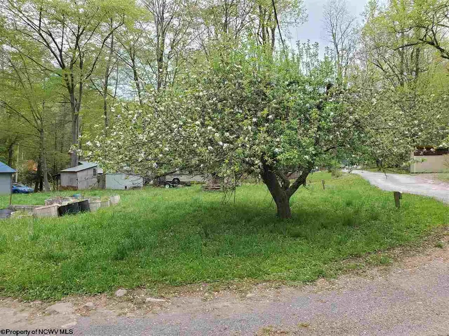 TBD Dolly Lane, Dryfork, WV 26263 - #3
