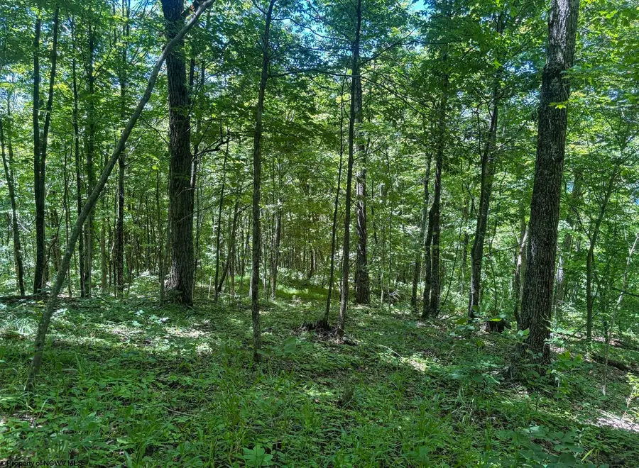 Lot 1 Ashland Ridge, Porters Falls, WV 26162 - #3