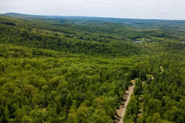 Lot 1 Laurel Mountain Road, Belington, WV 26250