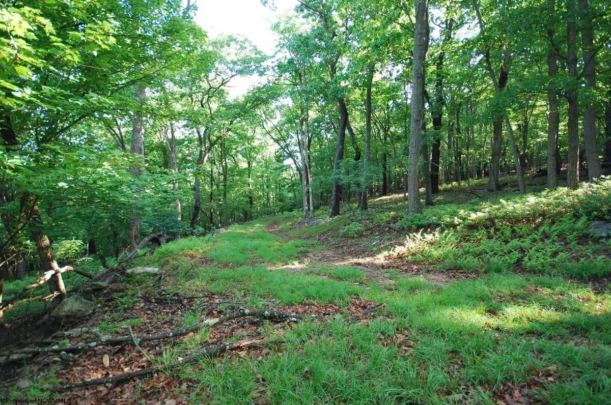 Lot 23 Long Lick Run Road, Baker, WV 26801 - #1