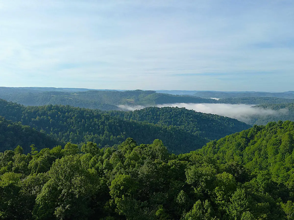 TBD Calvert Shaver Road, Rowlesburg, WV 26425 - #1
