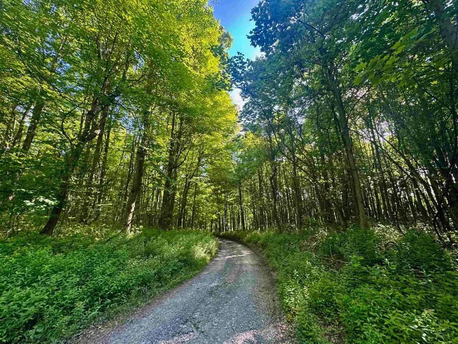 TBD Calvert Shaver Road, Rowlesburg, WV 26425 - #2