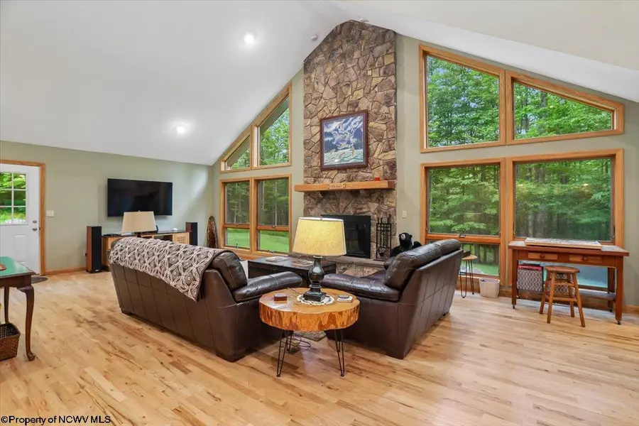 2256 Cabin Mountain Road, Davis, WV 26260 - #3