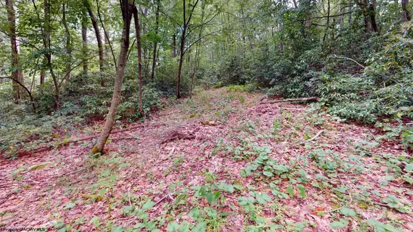 LOT 103 Redwood Drive, Terra Alta, WV 26764