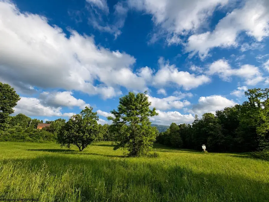 Lot 3 Iron Horse Lane, Dryfork, WV 26263 - #2