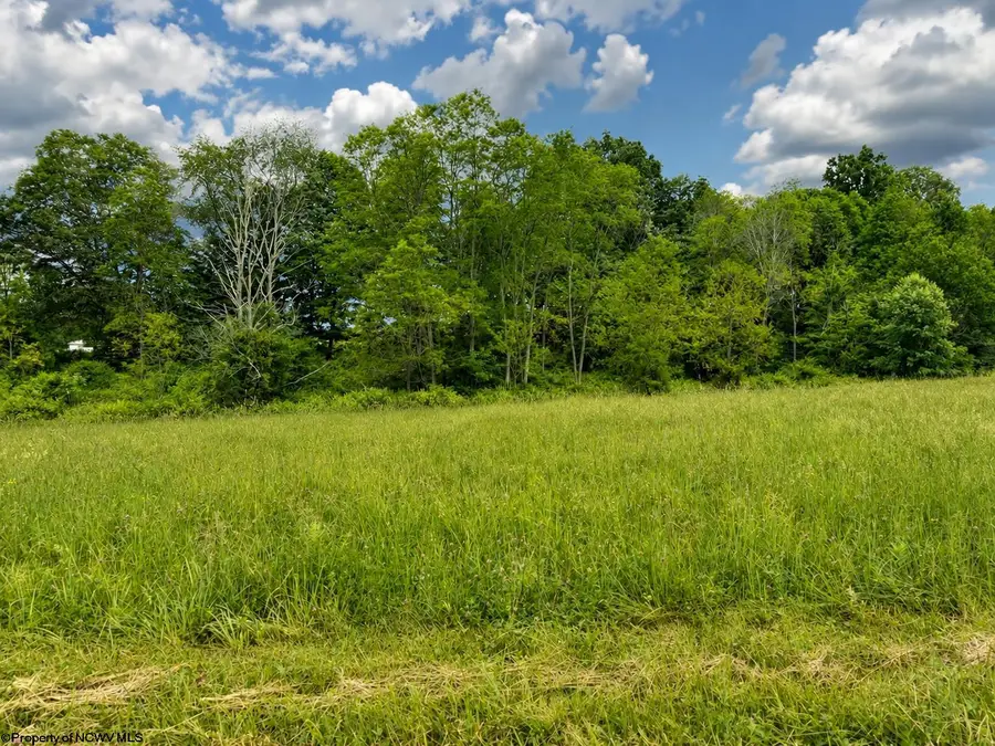 Lot 3 Iron Horse Lane, Dryfork, WV 26263 - #3