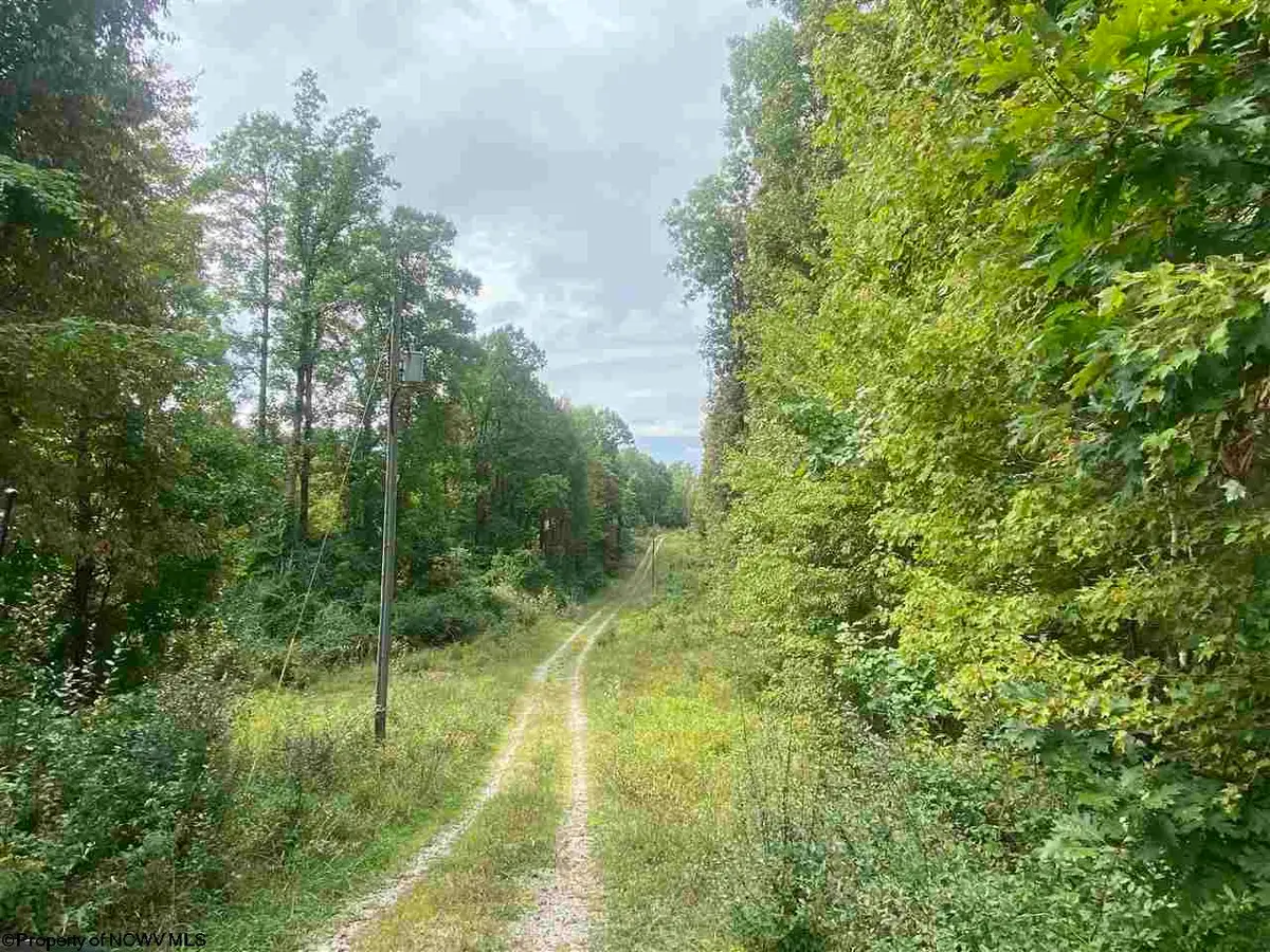 TBD Helens Run Road, Worthington, WV 26591 - #1