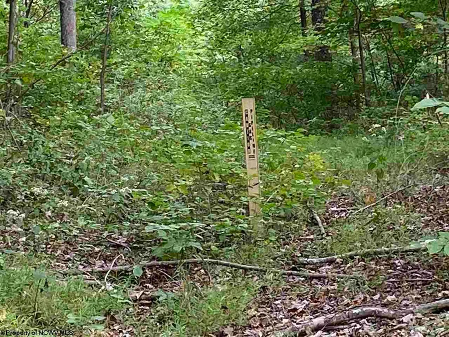 TBD Helens Run Road, Worthington, WV 26591 - #3