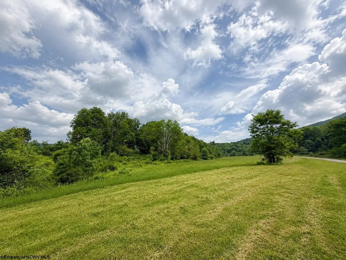 Lot 4 Iron Horse Lane, Dryfork, WV 26263 - #1