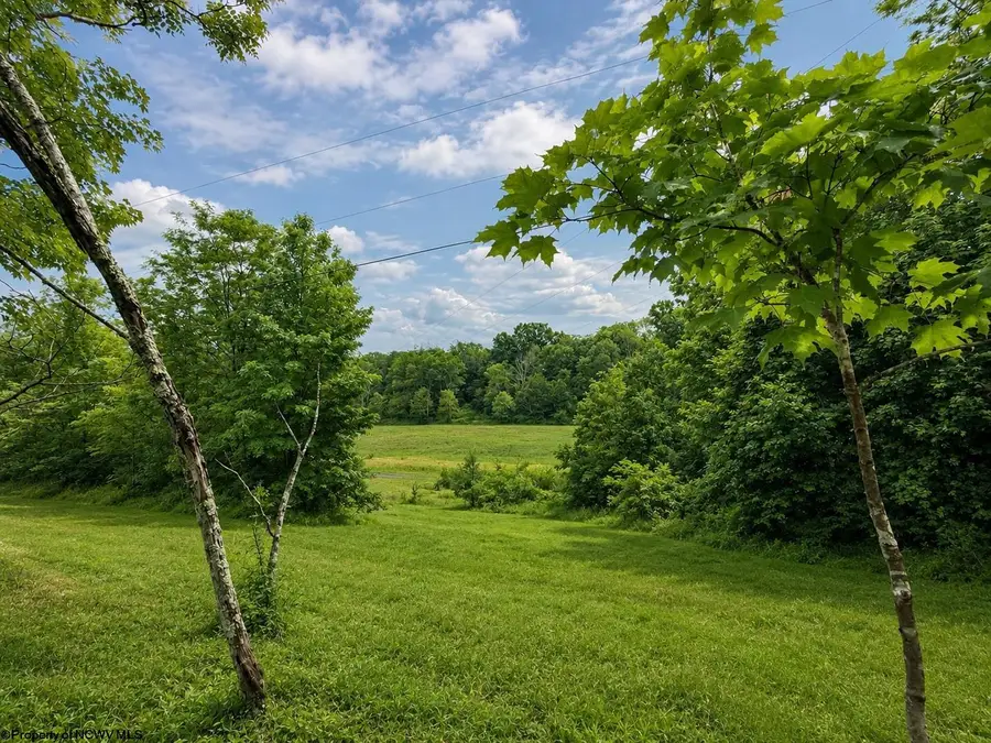 Lot 4 Iron Horse Lane, Dryfork, WV 26263 - #3