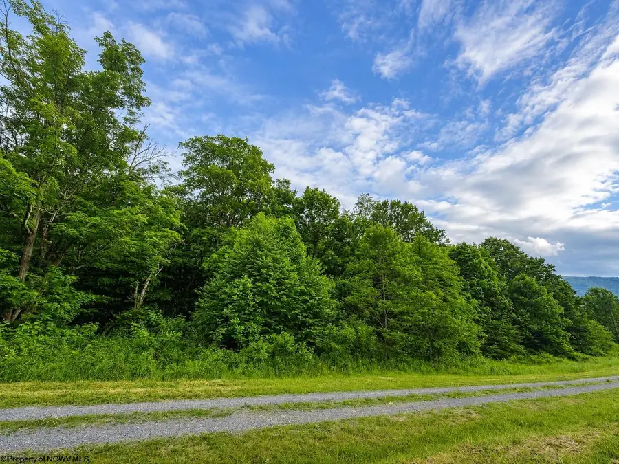 Lot 8 Iron Horse Lane, Dryfork, WV 26263 - #2