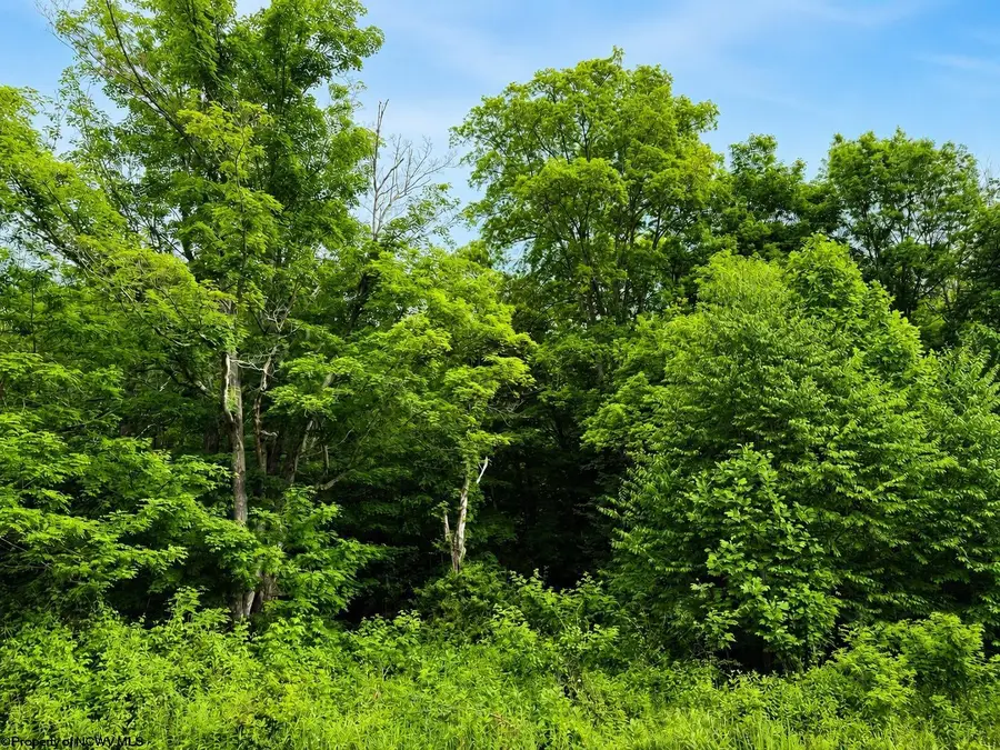 Lot 10 Iron Horse Lane, Dryfork, WV 26263 - #3