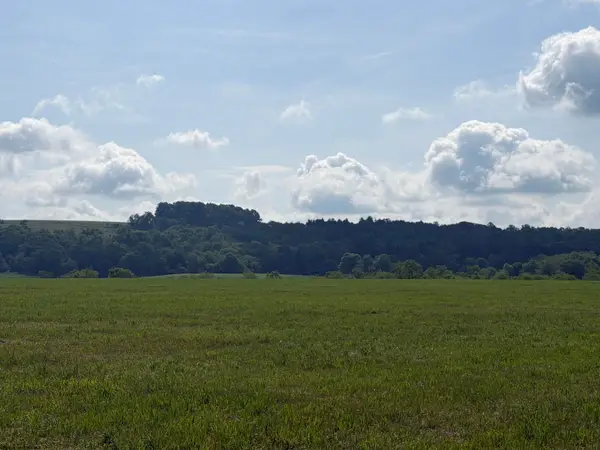 001 Clifton Salem Road, Bruceton Mills, WV 26525