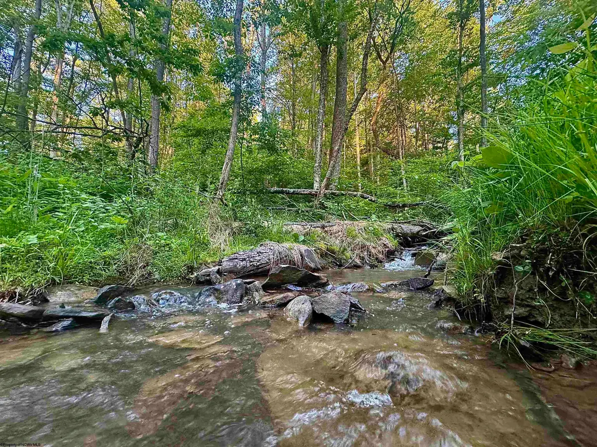 Tract B John Orr Road, Independence, WV 26374 - #1