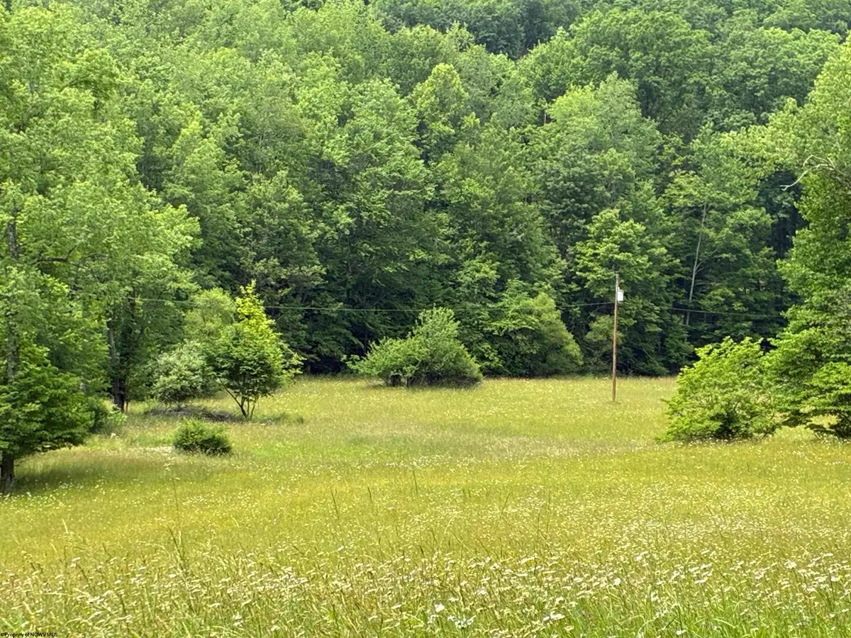 1168 Heaston Ridge Road, Crawford, WV 26343 - #1