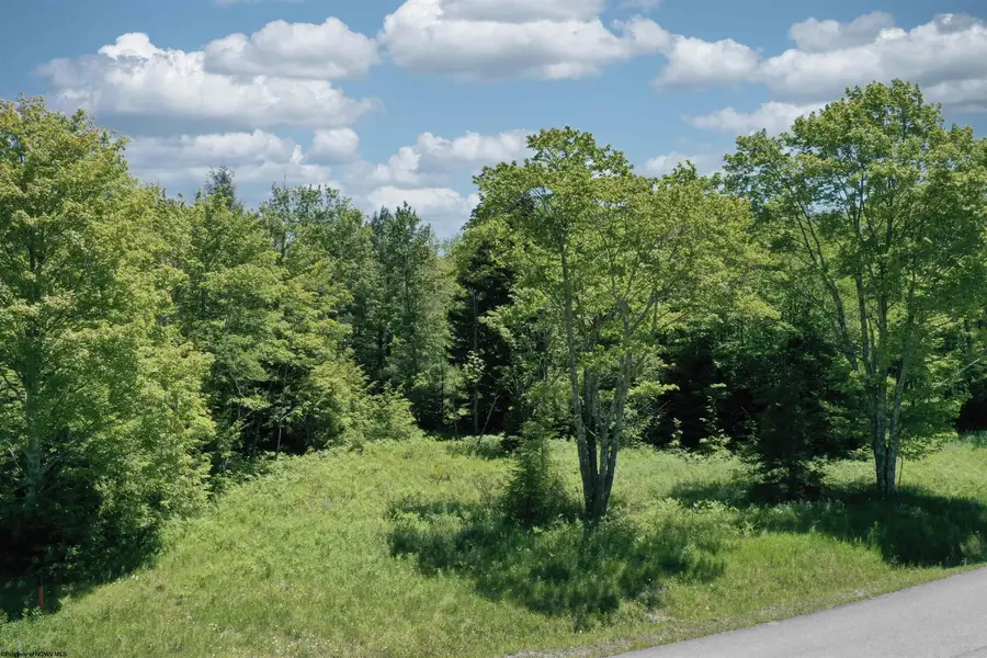 Lot 64 Venice Place, Davis, WV 26260 - #3